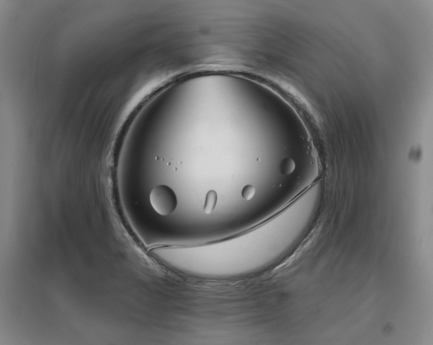 X0000097471325200802221227