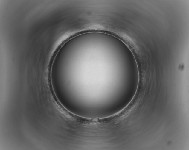 X0000097471326200802221227