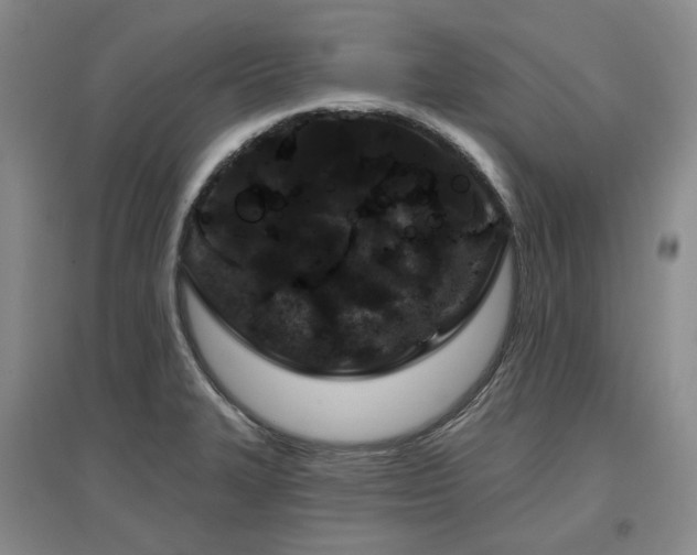 X0000097471327200802221227