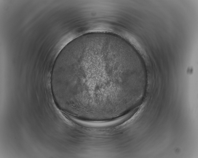 X0000097471329200802221227