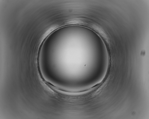 X0000097471330200802221227