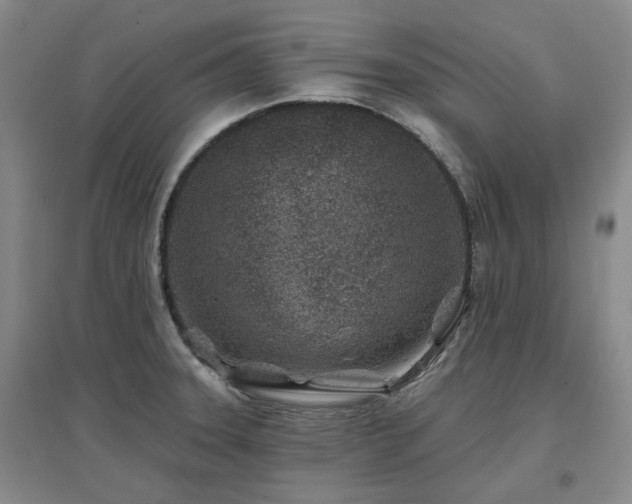 X0000097471331200802221227