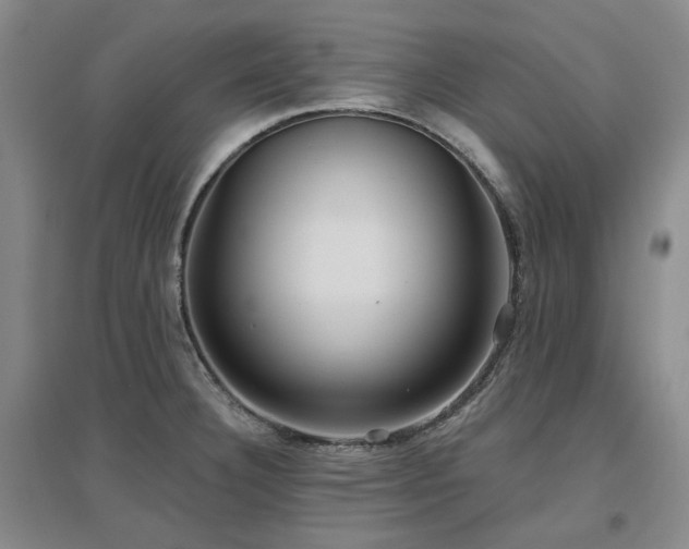 X0000097471332200802221227