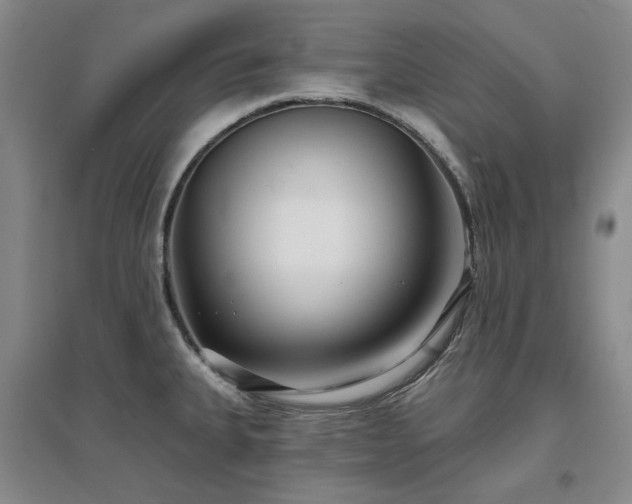 X0000097471335200802221227