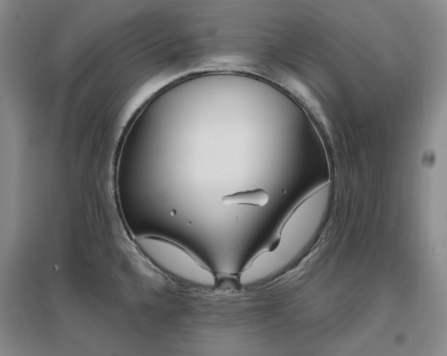 X0000097471336200802221227