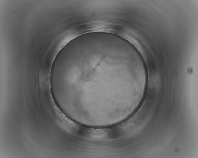 X0000097471338200802221227