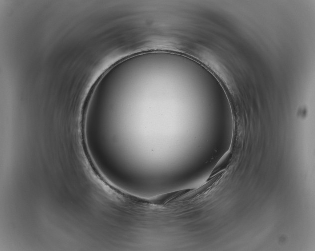 X0000097471339200802221227
