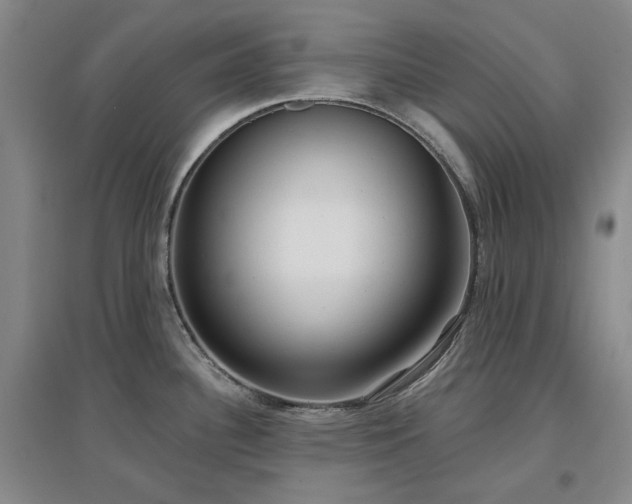 X0000097471340200802221227
