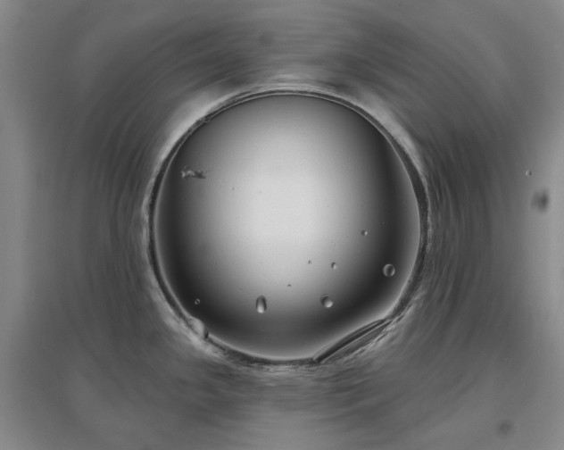 X0000097471341200802221227