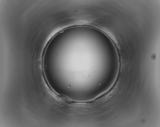 X0000097471342200802221227