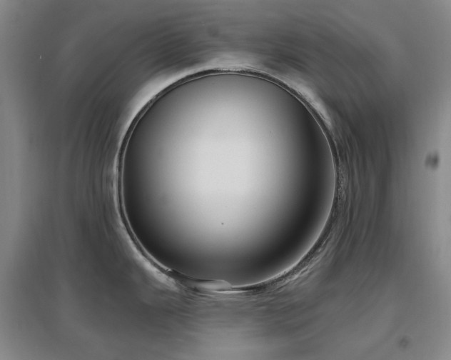 X0000097471343200802221227