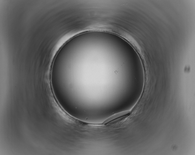 X0000097471344200802221227