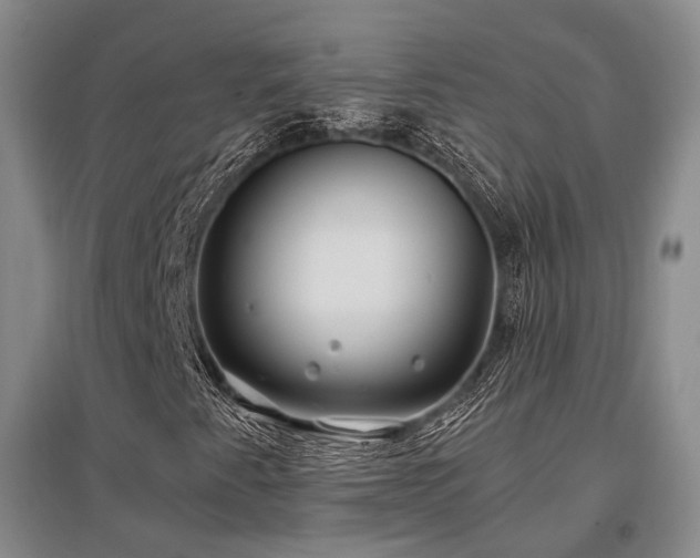 X0000097471345200802221227