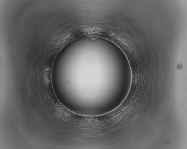 X0000097471346200802221227