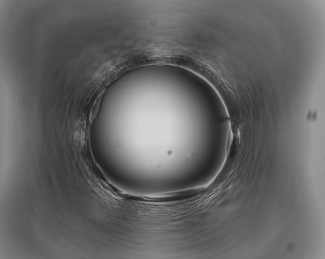 X0000097471348200802221227