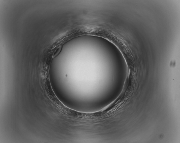 X0000097471349200802221227