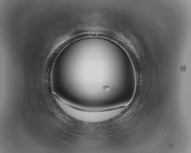 X0000097471352200802221227