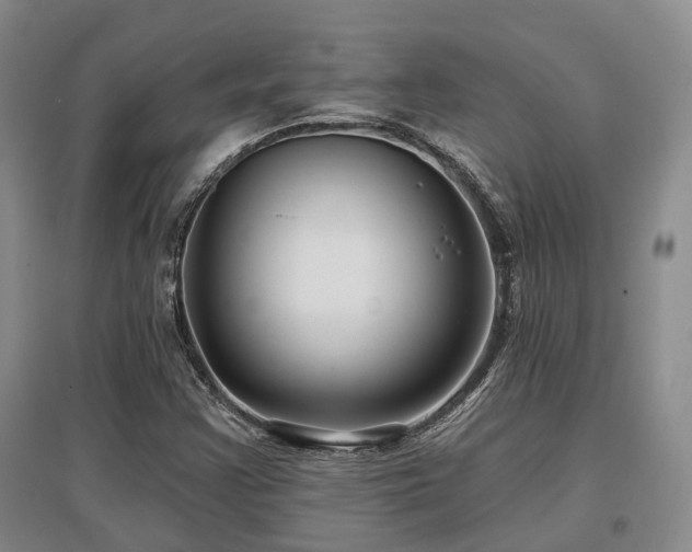 X0000097471355200802221226