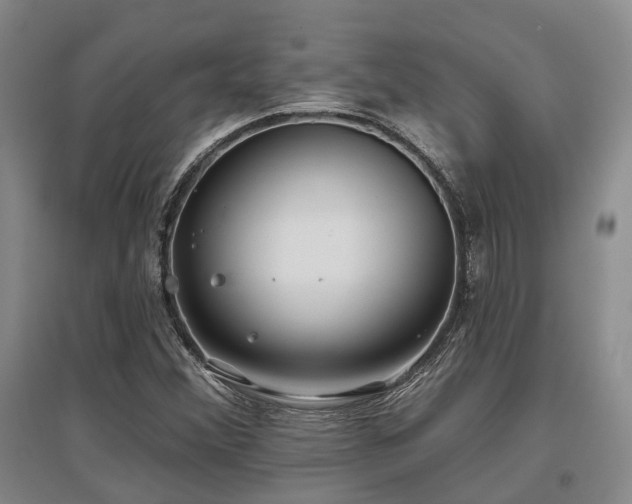 X0000097471356200802221226