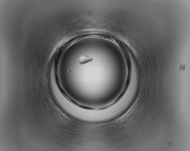 X0000097471357200802221226