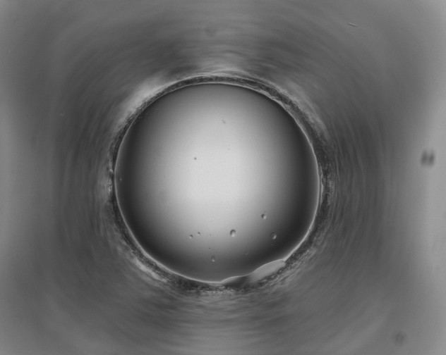 X0000097471363200802221226