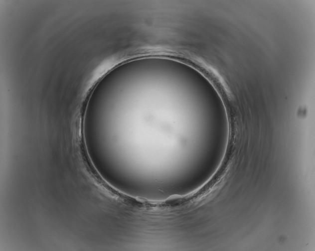 X0000097471365200802221226