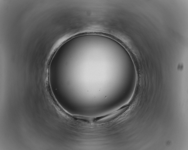 X0000097471366200802221226