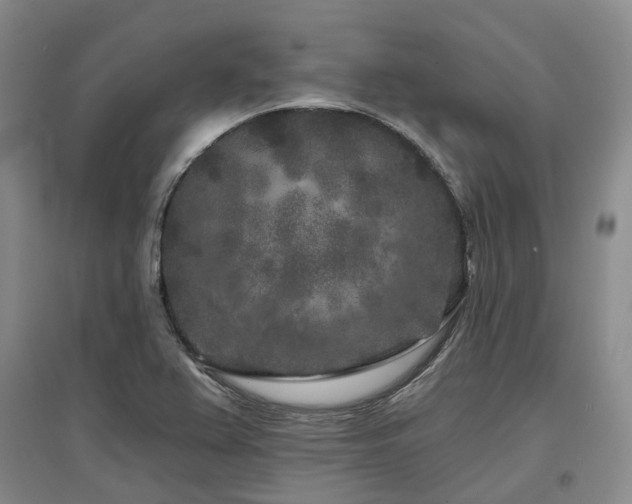 X0000097471367200802221226