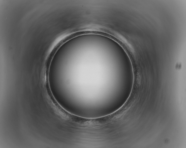 X0000097471368200802221226