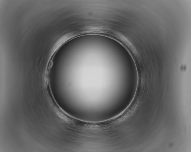 X0000097471370200802221226
