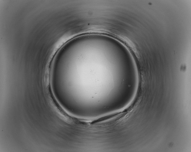 X0000097471371200802221226