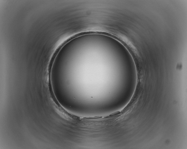 X0000097471372200802221226