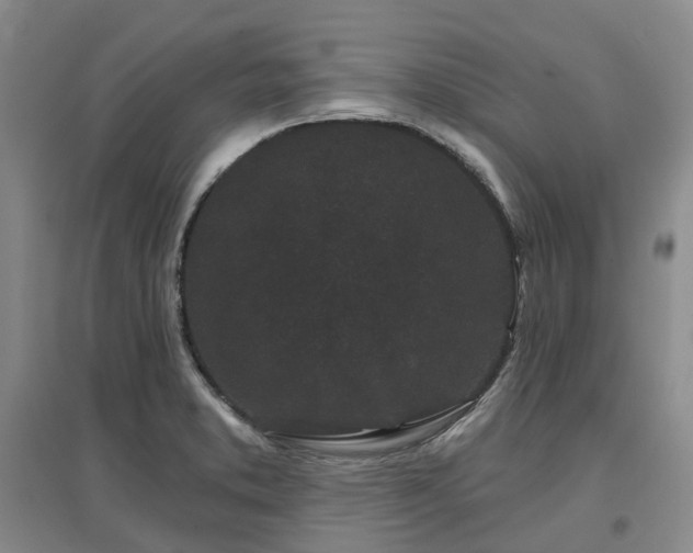 X0000097471373200802221226