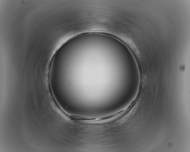 X0000097471374200802221226