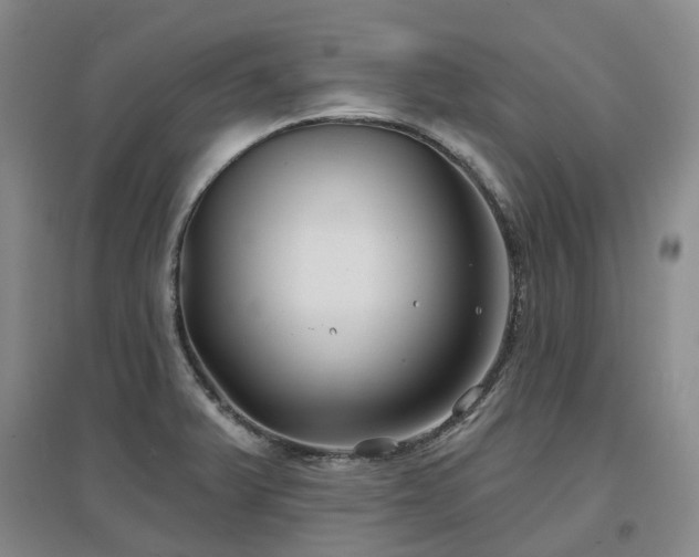 X0000097471375200802221226
