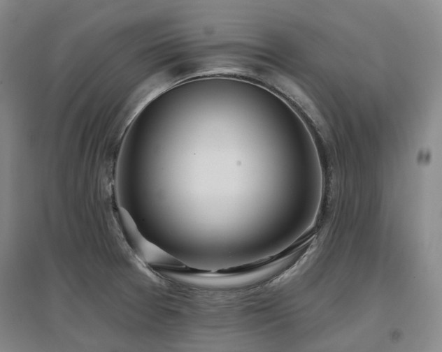 X0000097471377200802221226