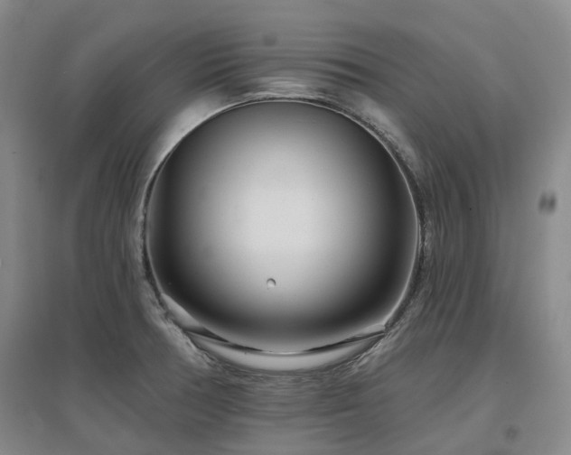 X0000097471378200802221226