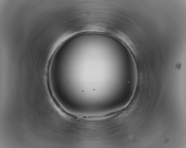 X0000097471379200802221226