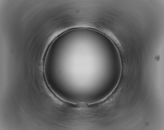 X0000097471380200802221226