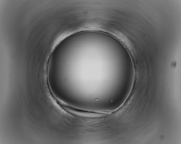 X0000097471382200802221226
