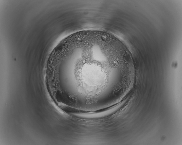 X0000097471383200802221226