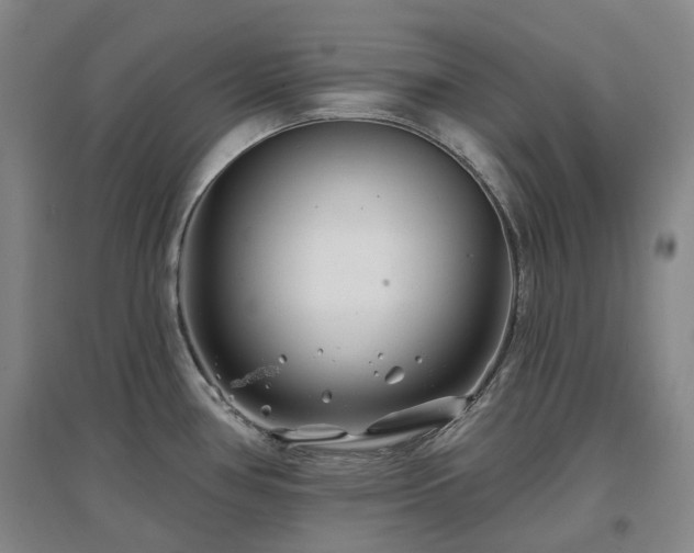 X0000097471386200802221226
