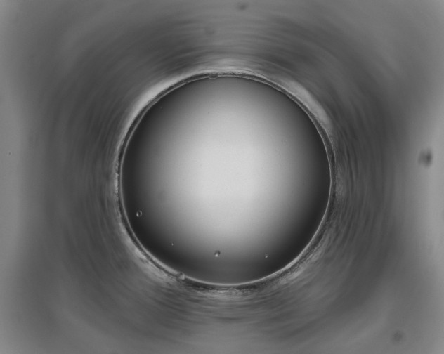 X0000097471388200802221226