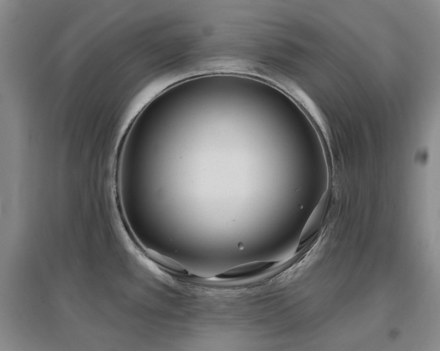 X0000097471389200802221226