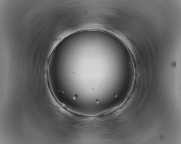 X0000097471390200802221226