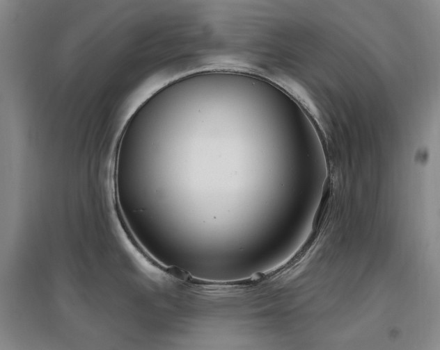 X0000097471391200802221226