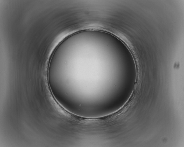 X0000097471392200802221226