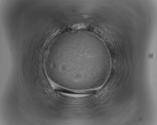 X0000097471393200802221225