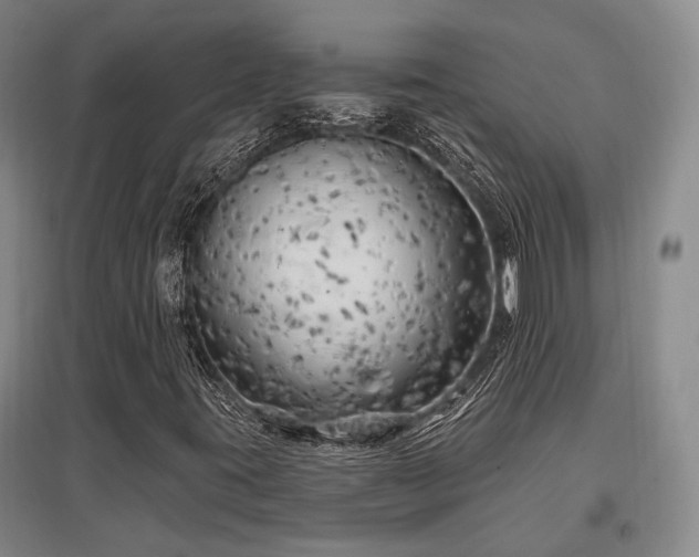 X0000097471395200802221225