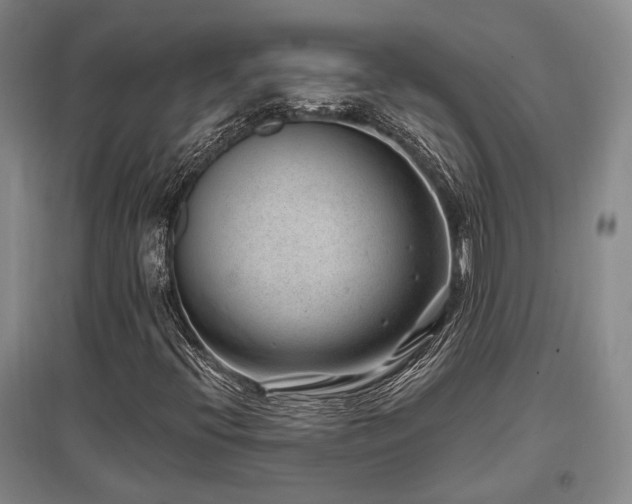 X0000097471396200802221225